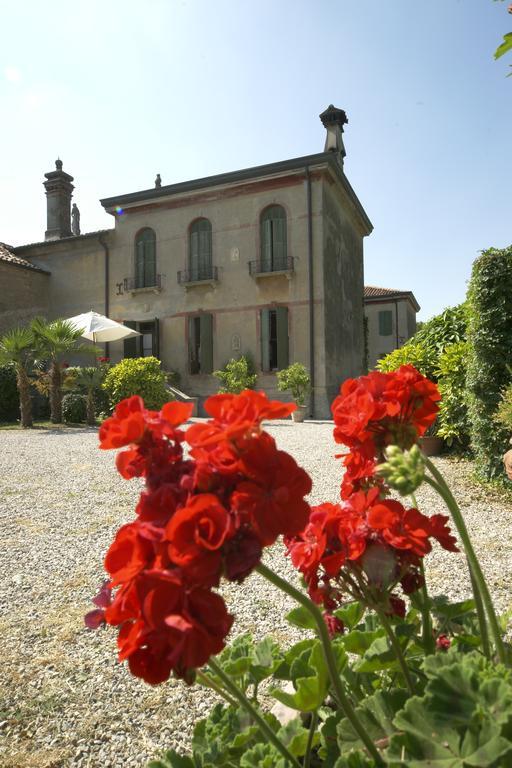 Ca Sagredo Villa Conselve Buitenkant foto